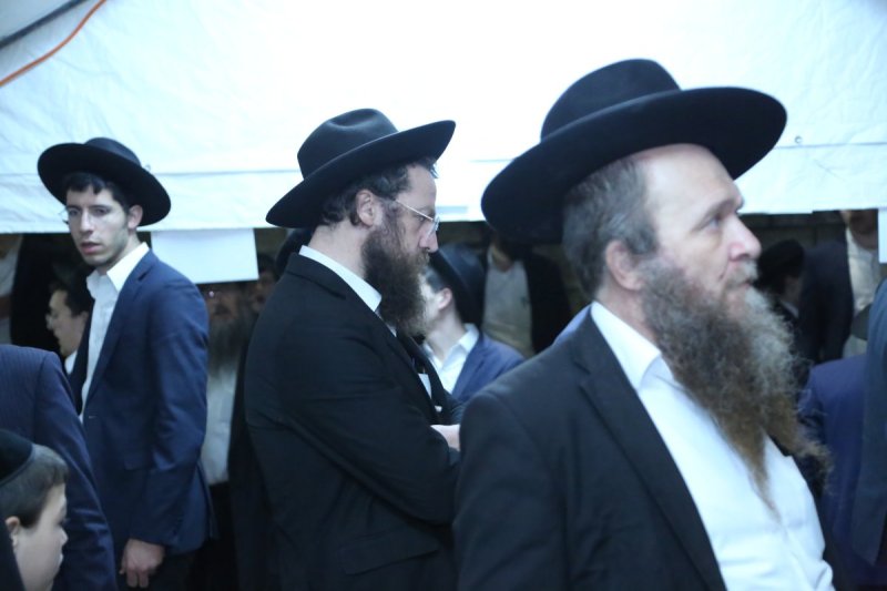 דוד קשת