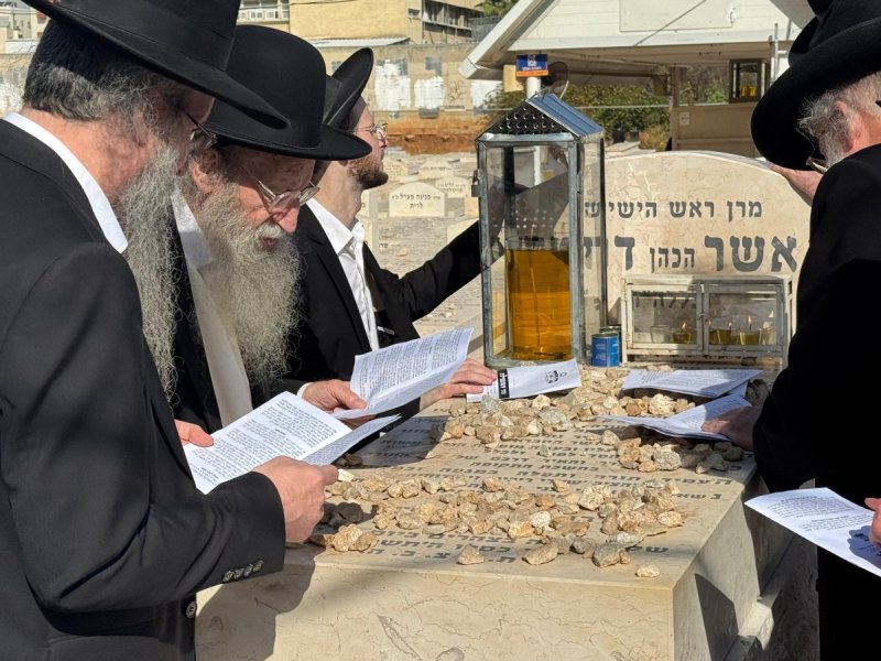 דוד קשת