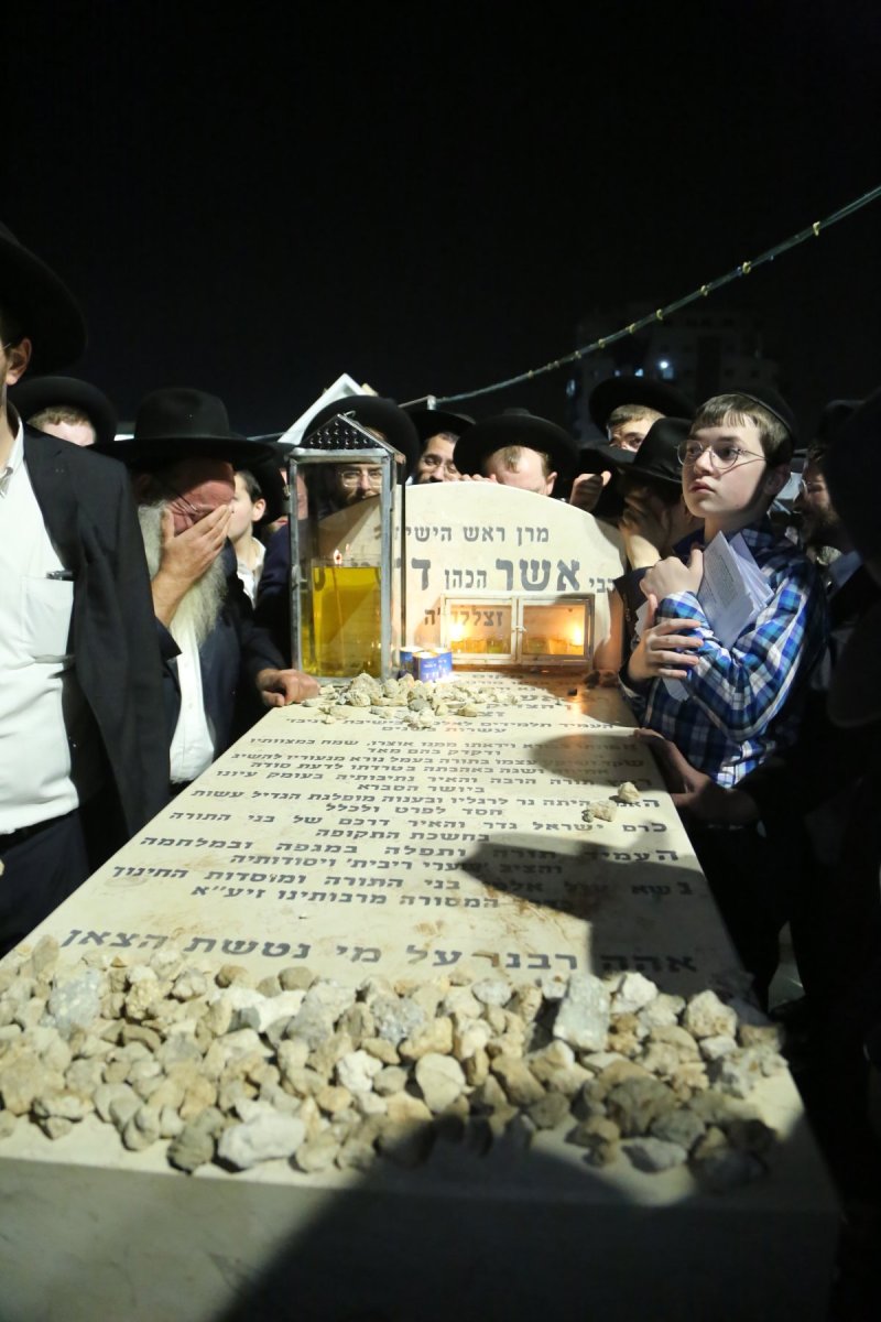 דוד קשת