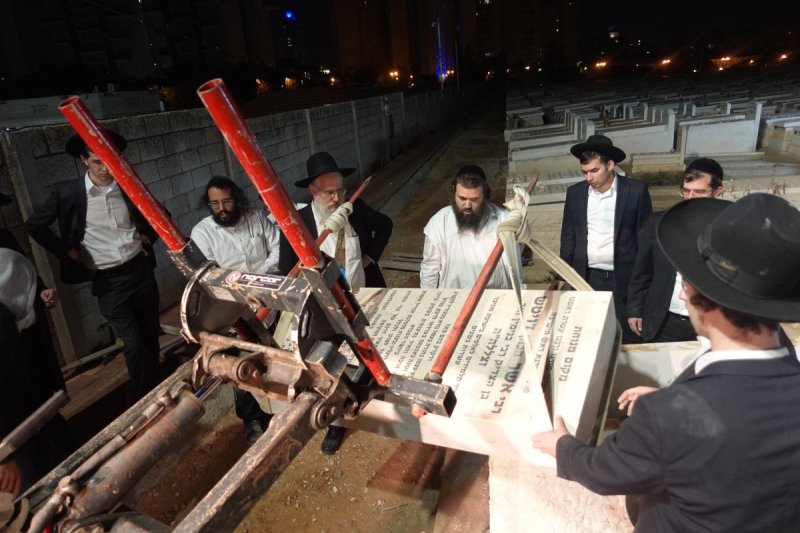 דוד קשת