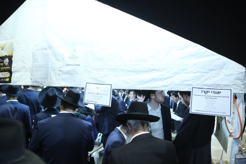 דוד קשת