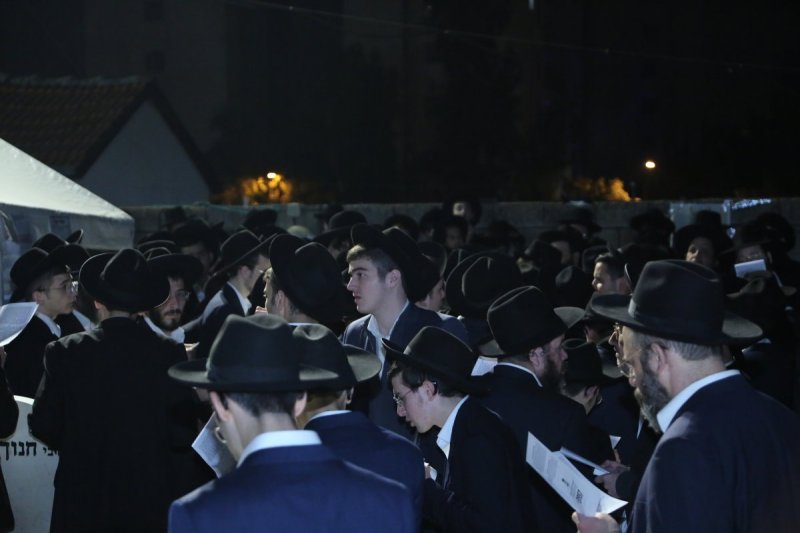 דוד קשת