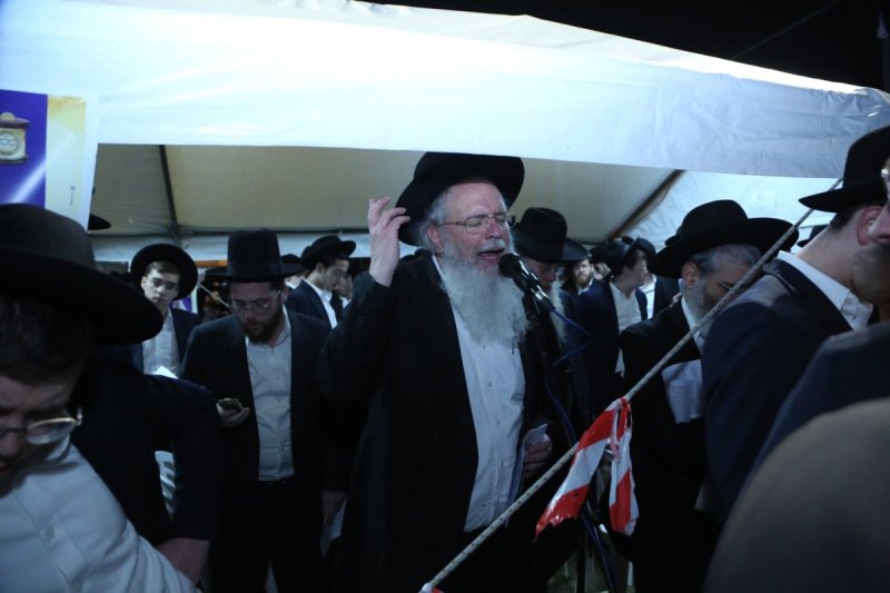 דוד קשת