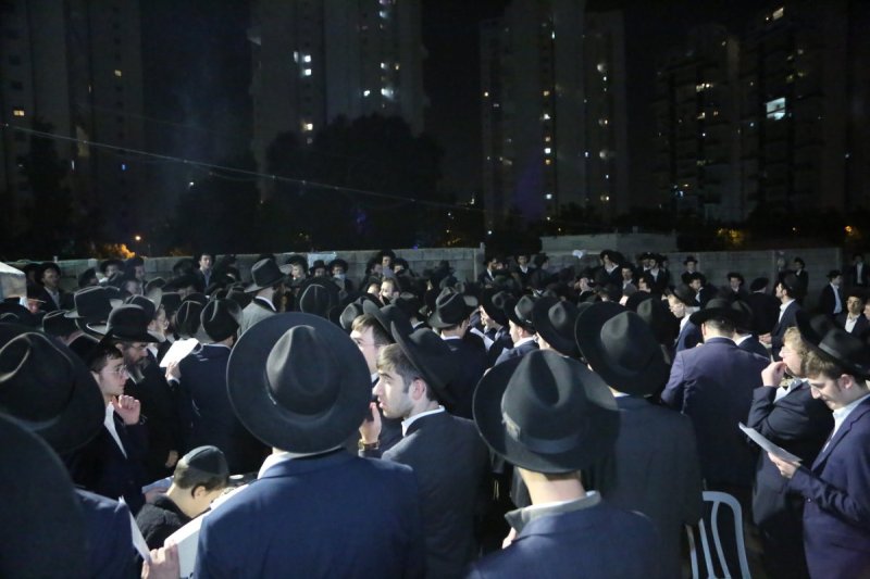 דוד קשת