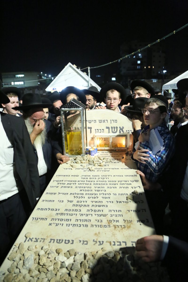 דוד קשת