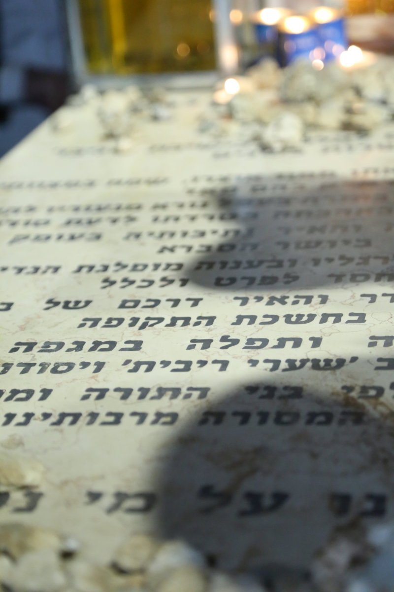 דוד קשת