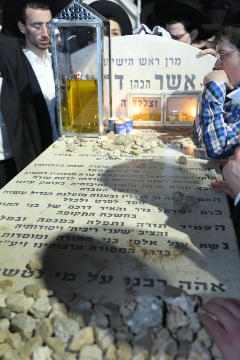 דוד קשת