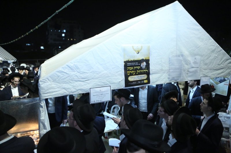 דוד קשת