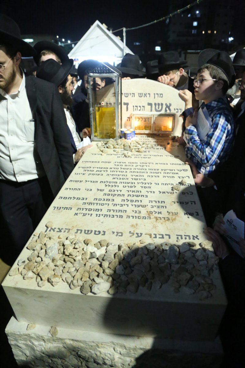 דוד קשת
