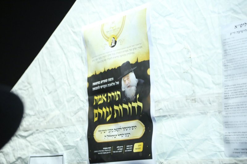 דוד קשת