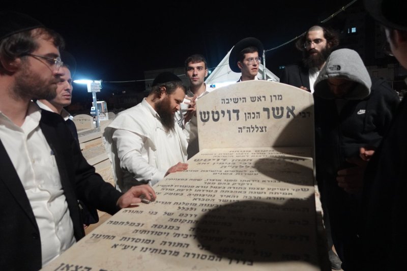 דוד קשת
