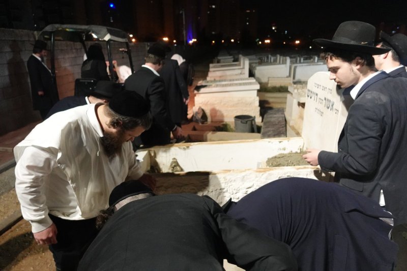 דוד קשת
