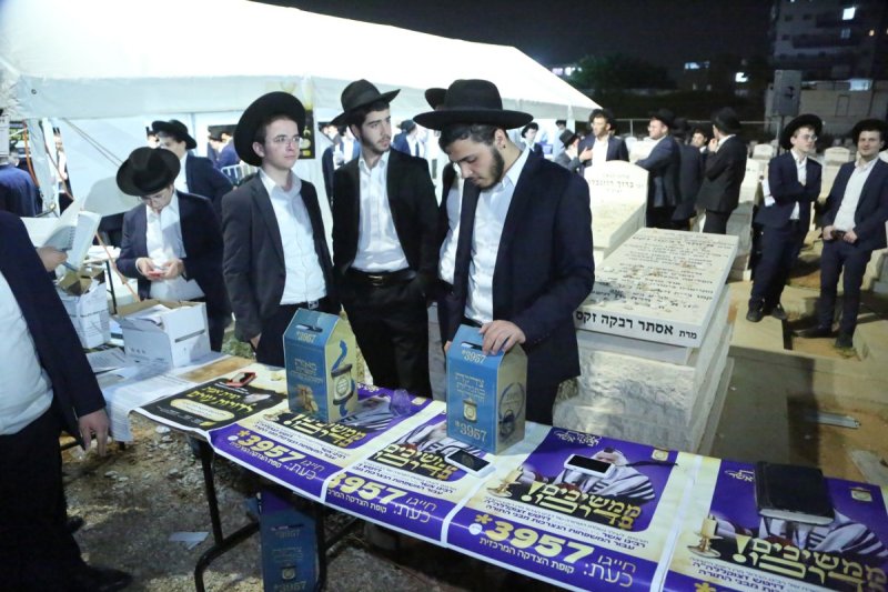 דוד קשת