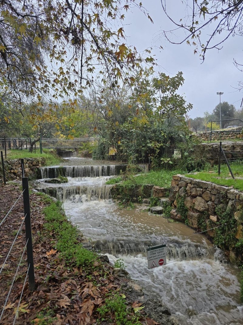 גיא אל בוחר רשות הטבע והגנים 