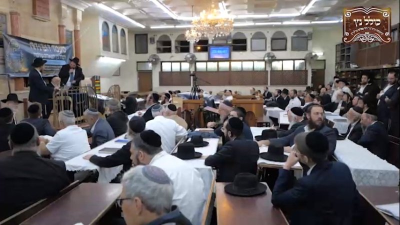 עזרא טרבלסי