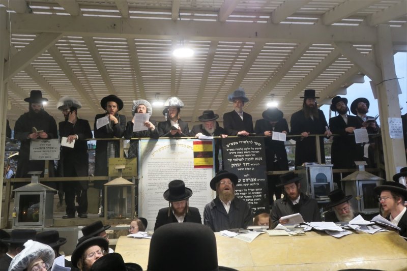 מ. אדלר