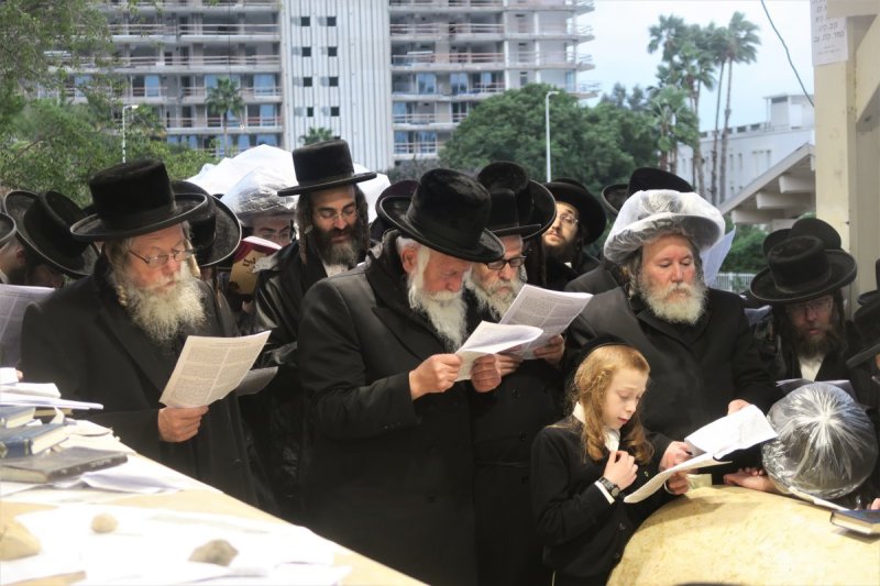 מ. אדלר