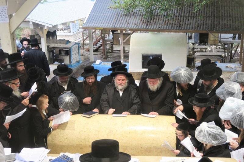מ. אדלר