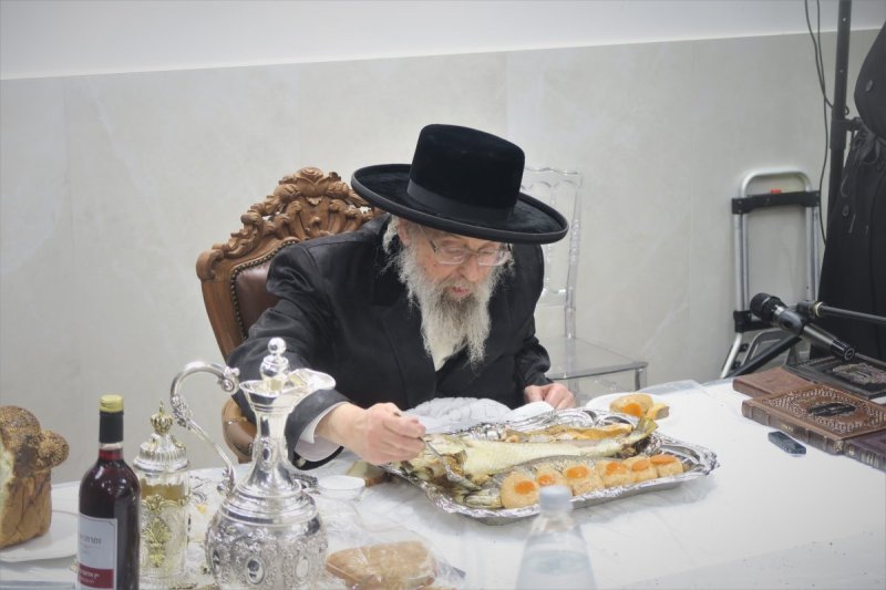 מ. אדלר