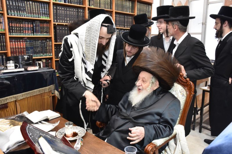 יהודה פרקוביץ