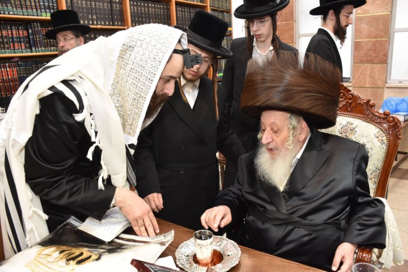 יהודה פרקוביץ