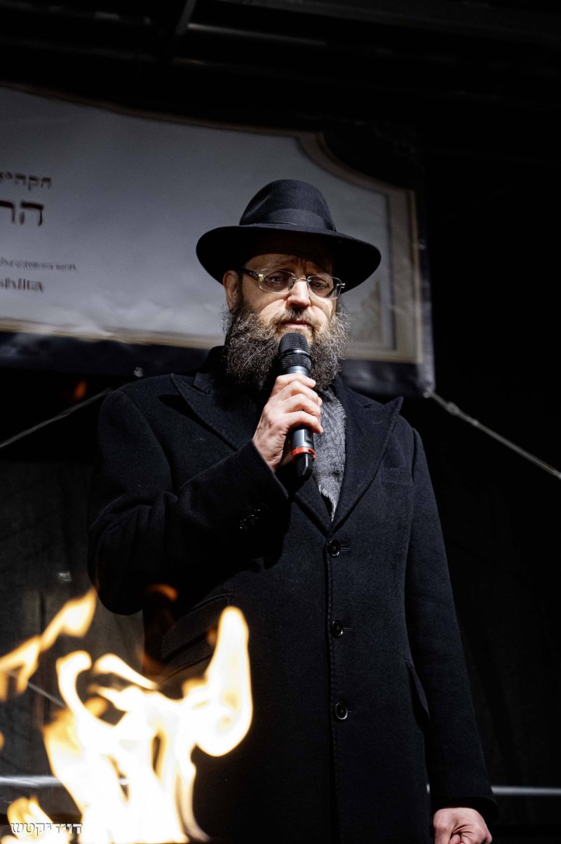 דוידי קטש