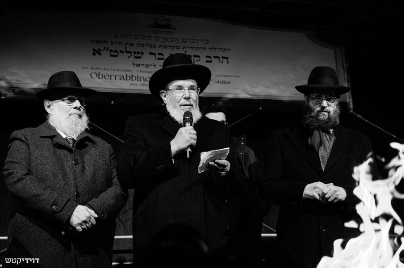 דוידי קטש
