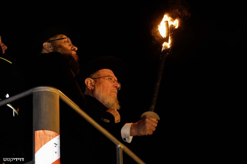 דוידי קטש