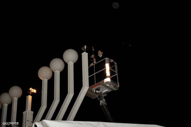דוידי קטש