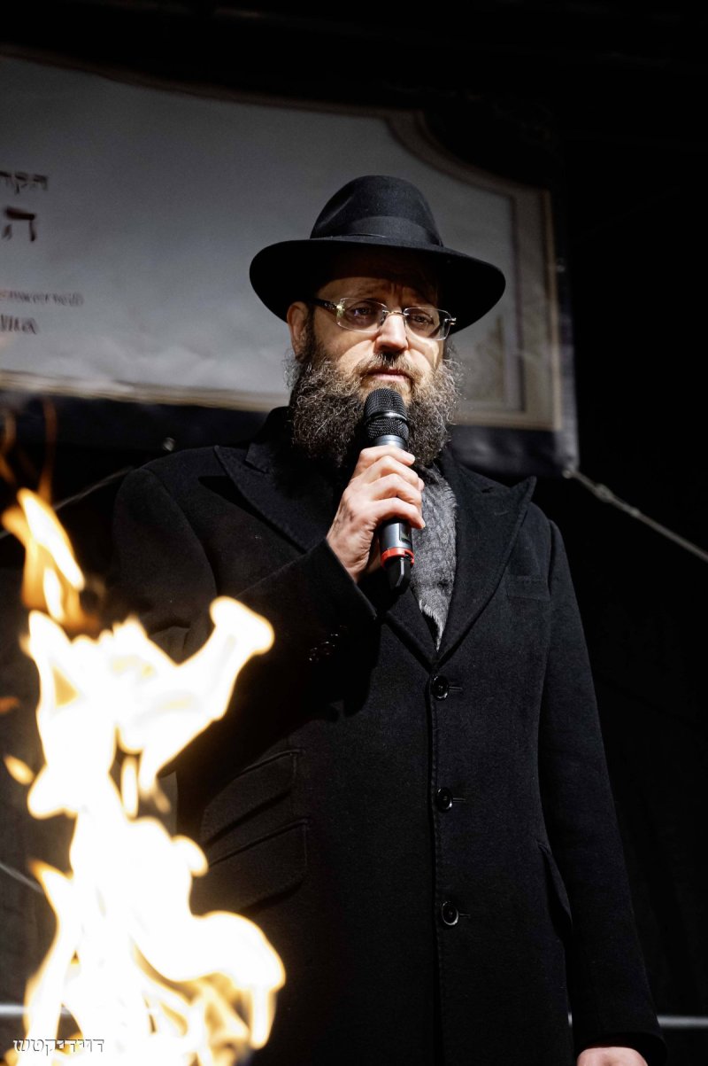 דוידי קטש