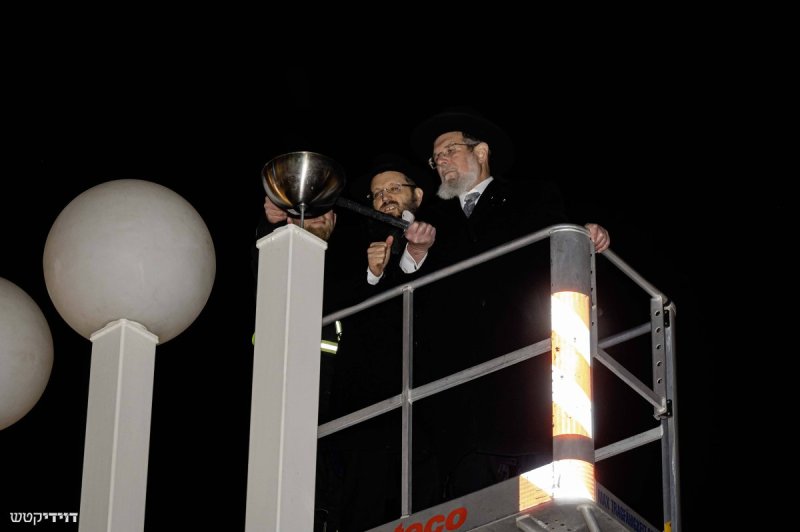 דוידי קטש