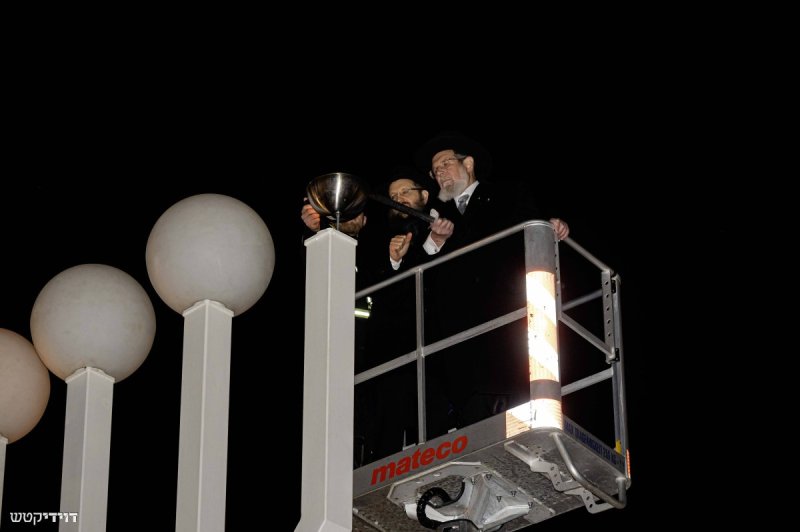 דוידי קטש