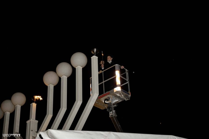 דוידי קטש