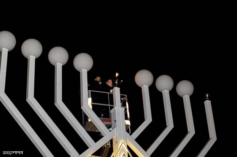דוידי קטש