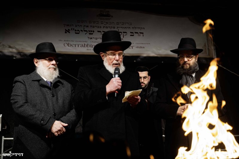 דוידי קטש