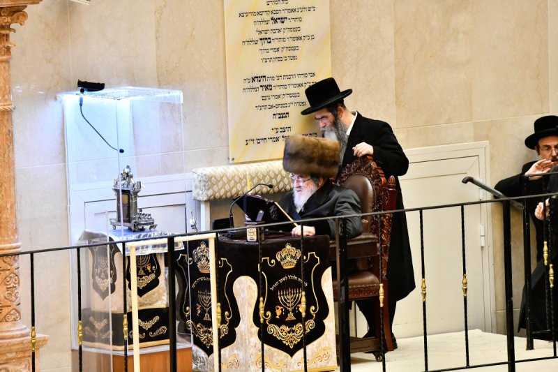 שוקי לרר