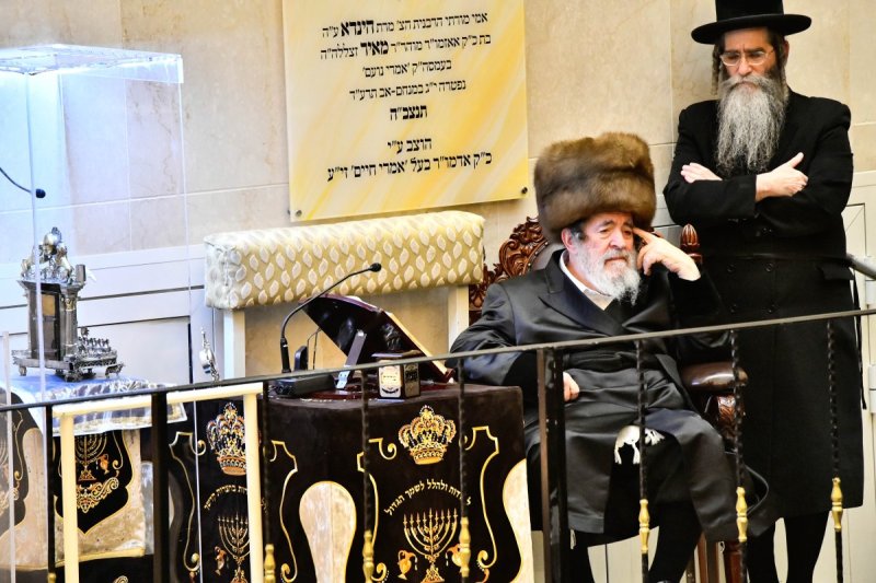 שוקי לרר