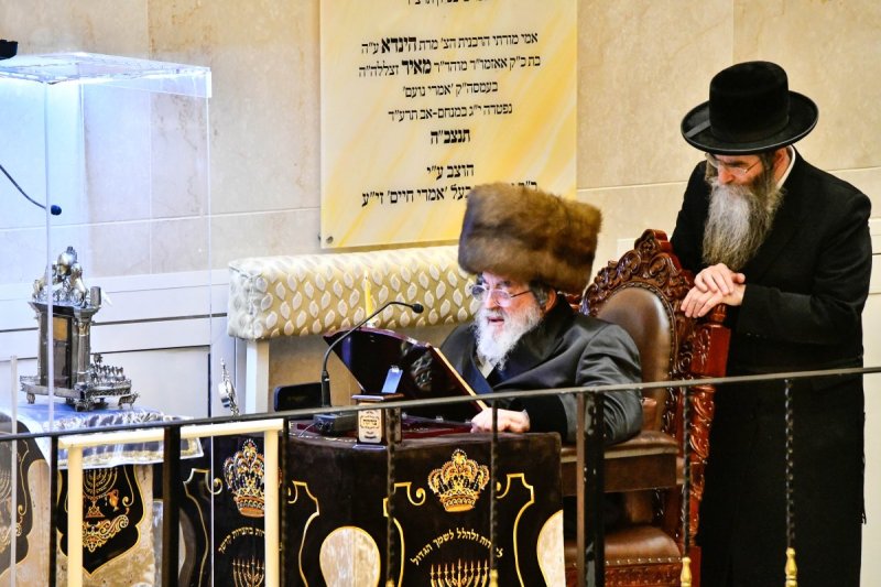 שוקי לרר