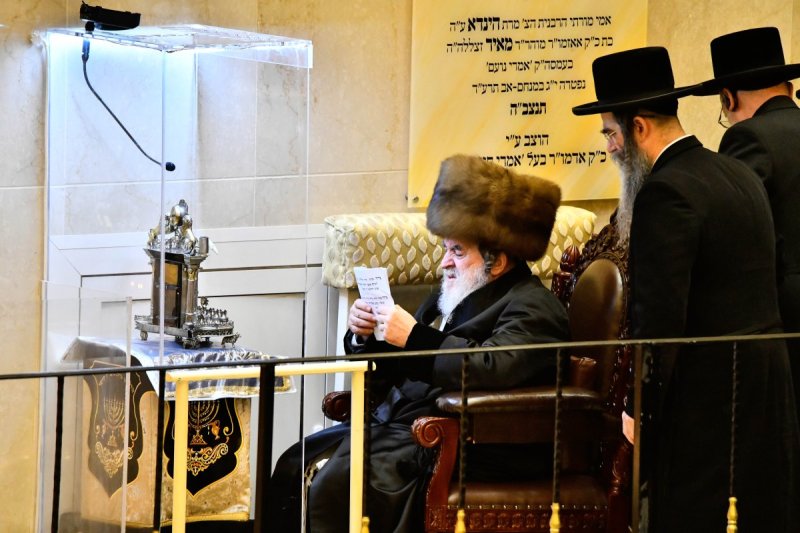 שוקי לרר