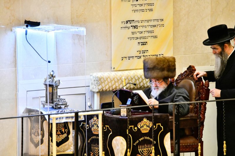 שוקי לרר