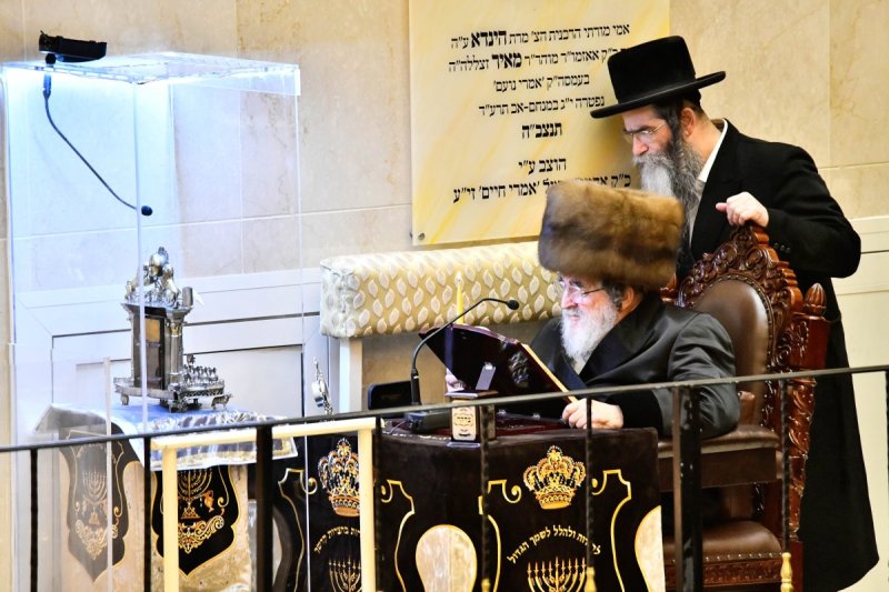 שוקי לרר