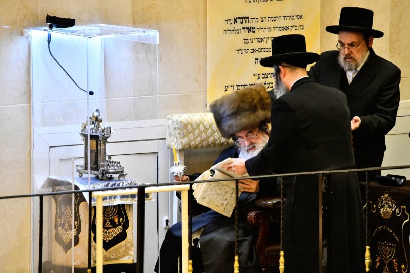שוקי לרר