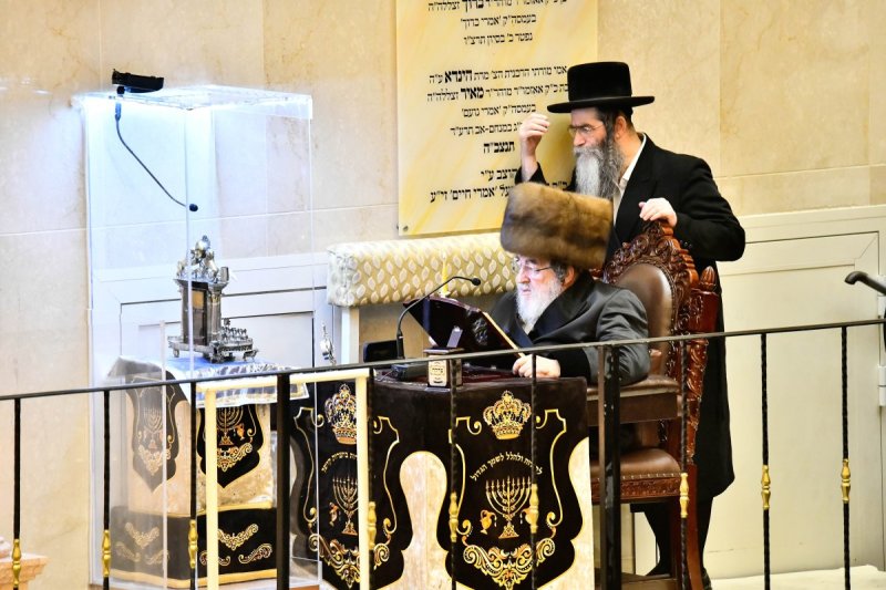 שוקי לרר