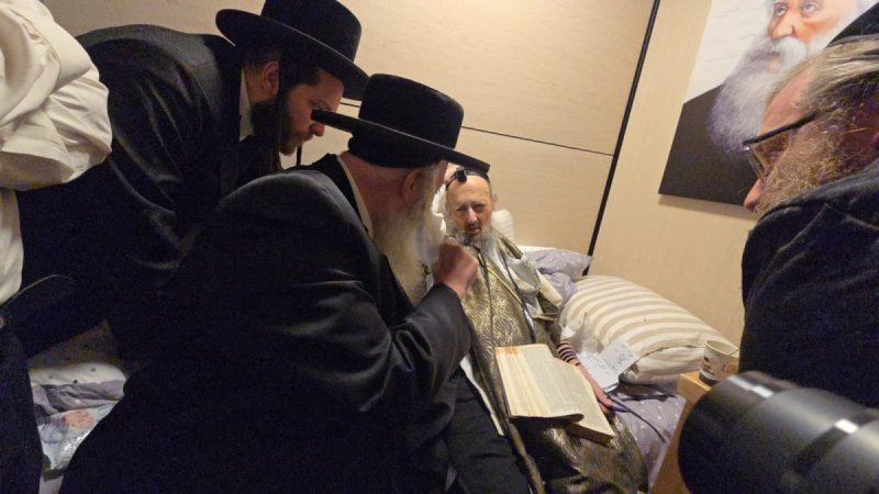 ב. ויזל
