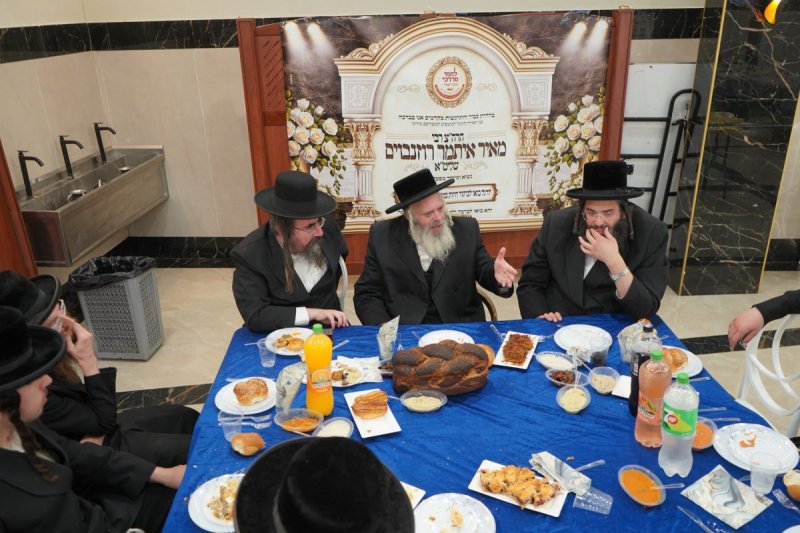 ב. ויזל