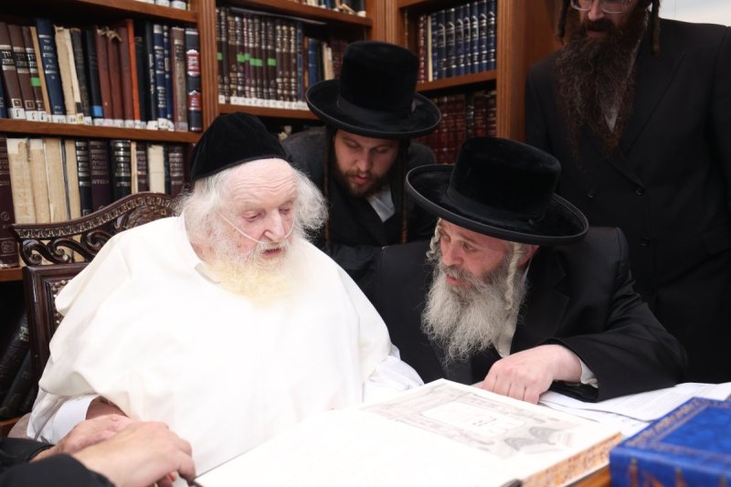 ב. ויזל