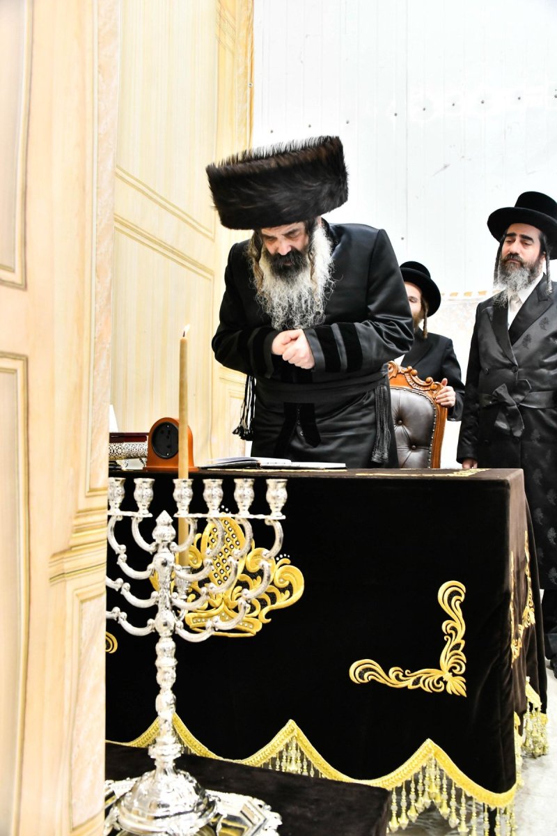 שוקי לרר