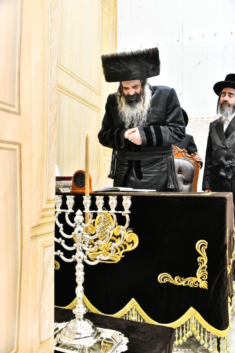 שוקי לרר