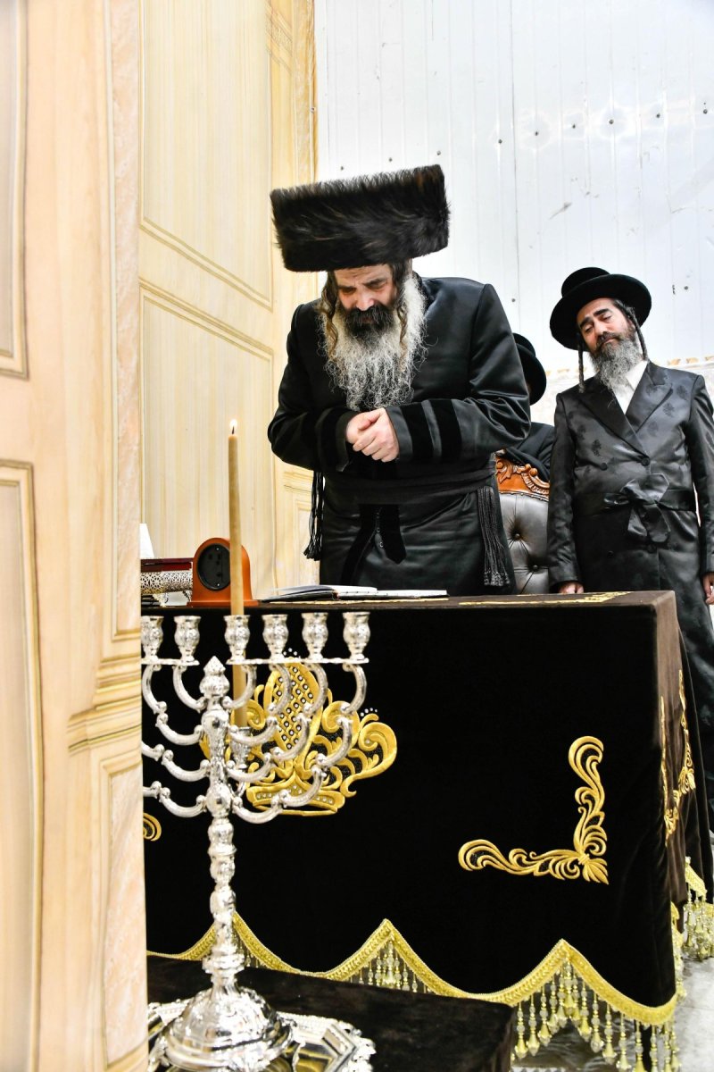 שוקי לרר