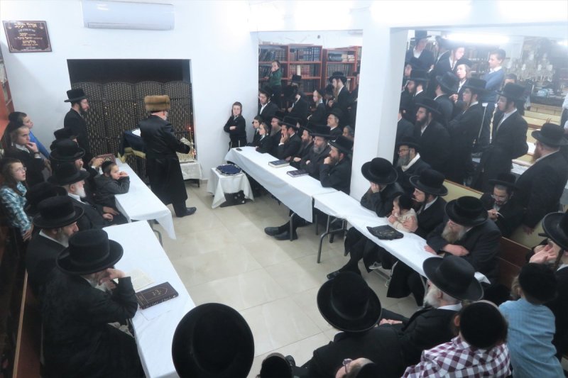 מ. אדלר